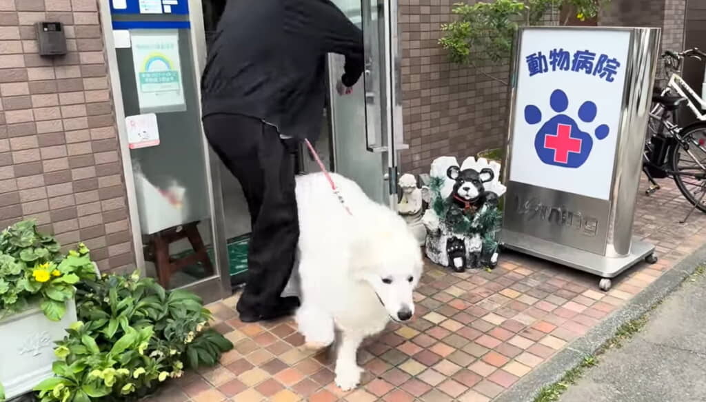 隙を見て逃走