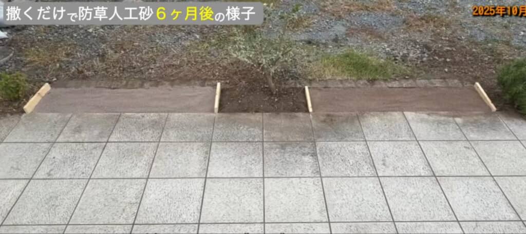 施工直後の様子