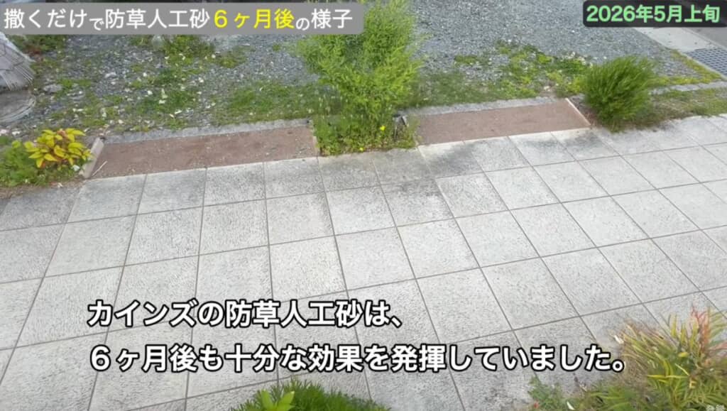 「撒くだけで防草できる人工砂」は防草効果があるという結果に