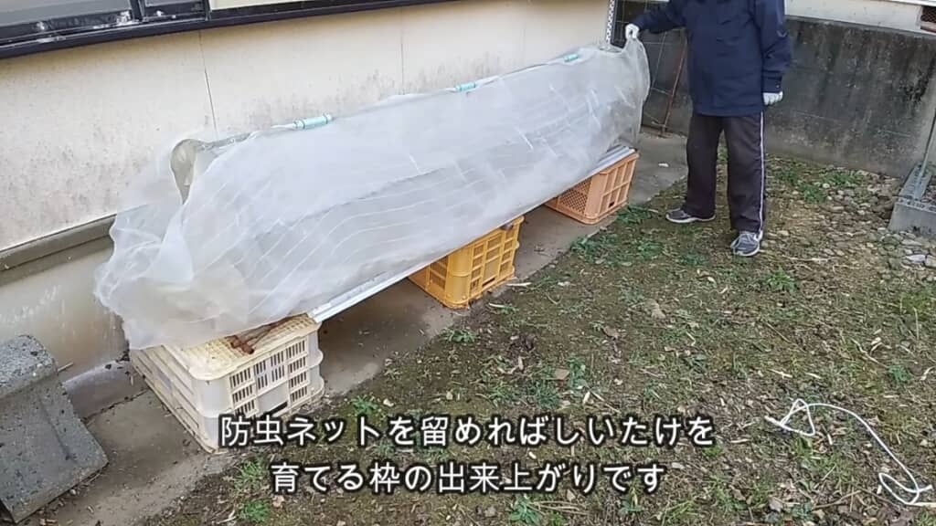 栽培用の枠を手作りしました