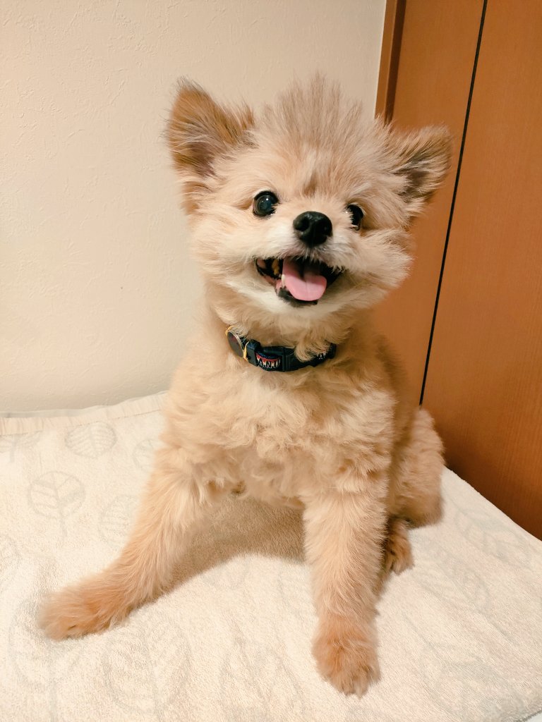 笑顔もかわいすぎる