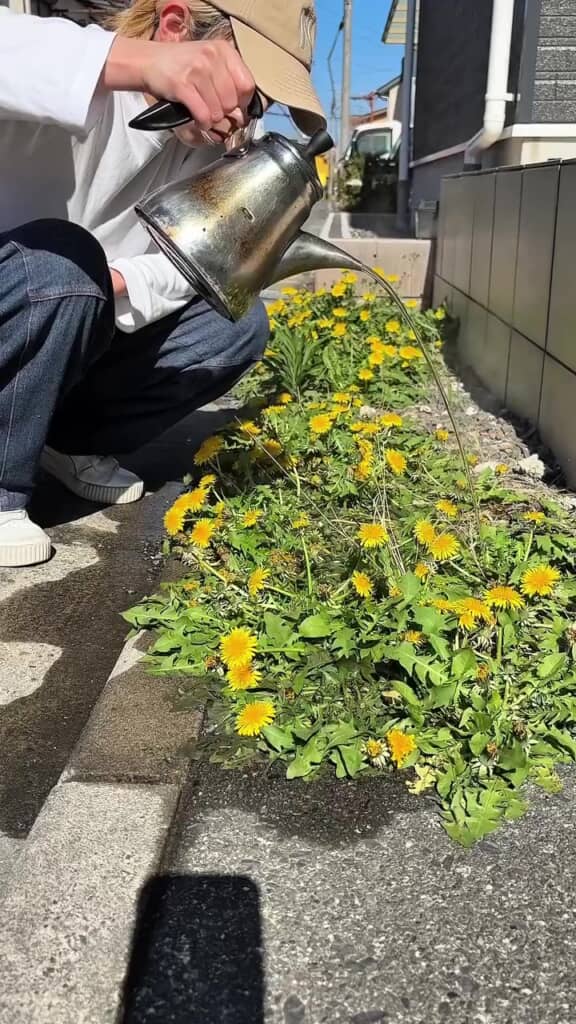 検証!