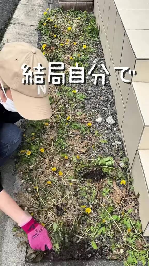 効果はなかったのだろうか