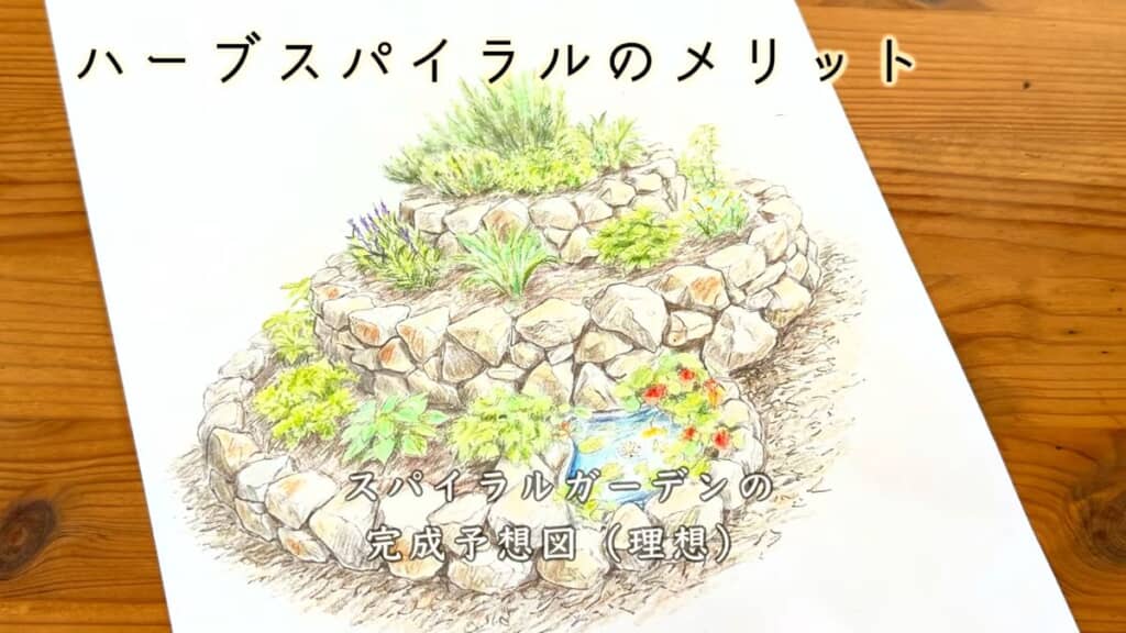 色鉛筆で描いたスパイラルガーデンの完成予想図