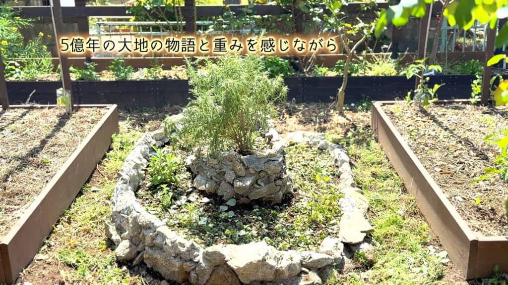 完成したスパイラルガーデン