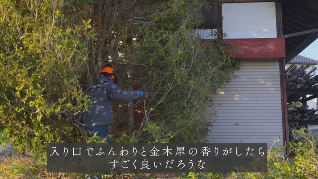 カフェの入口でキンモクセイの香りが漂うシーンを想像する投稿者