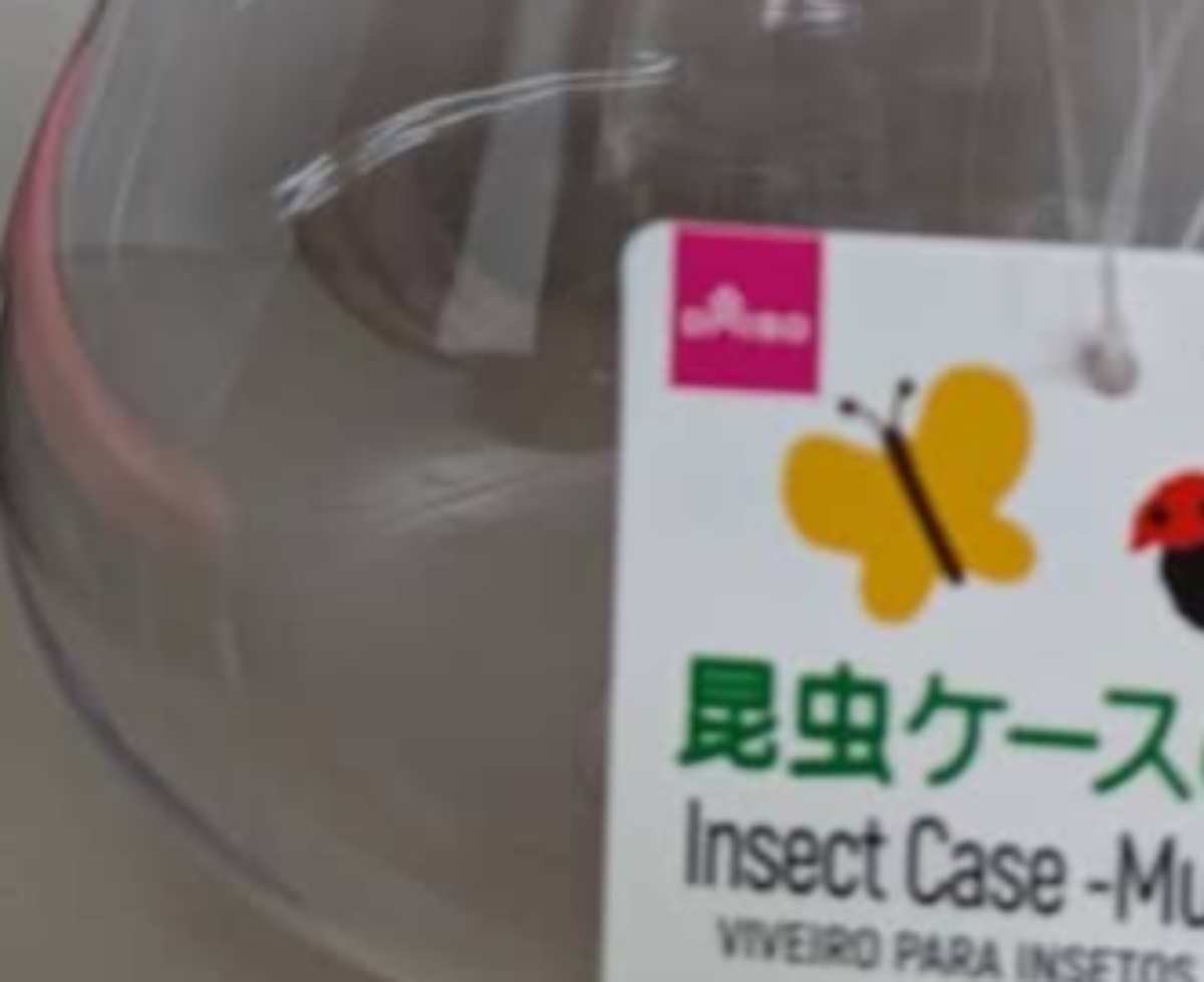 娘「これダイソーの虫かごなんだけど」→母大興奮の“じゃない使い方”に「可愛いのなんのって」「買いに行こ」(1/3) | ライフハック ねとらぼ