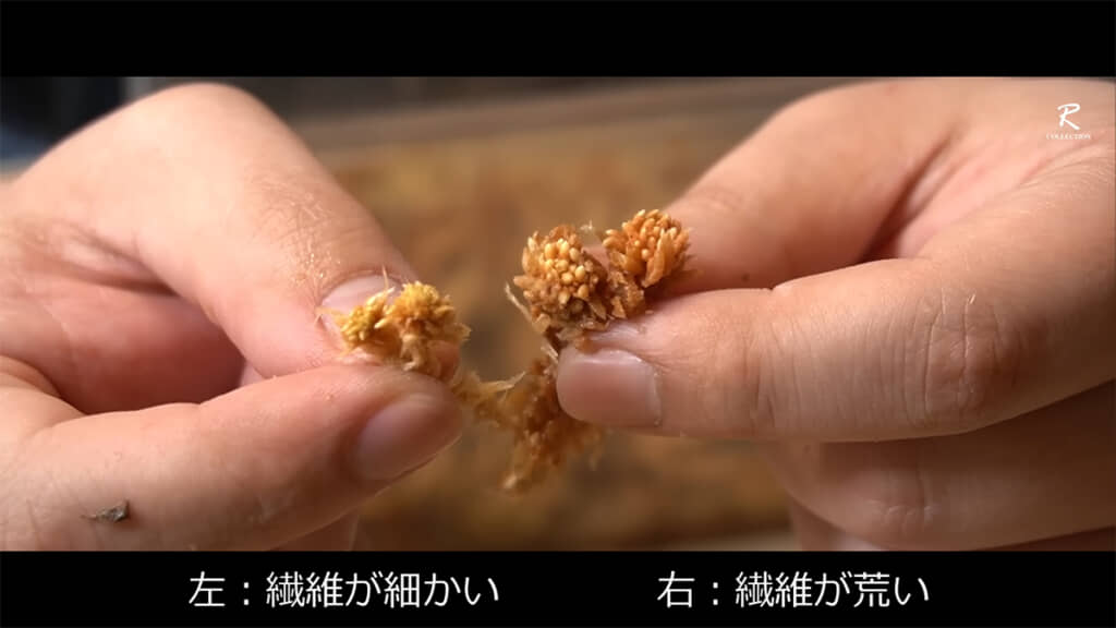 同じパッケージにも、種類が違う可能性があるミズゴケが入っていました