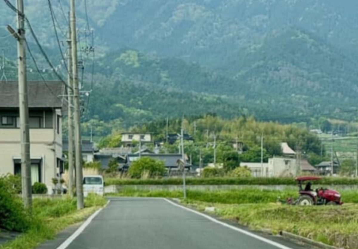 実家に帰省中→道路の真ん中でケンカしていたのは……　“まさかの生き物”に「どいて〜ww」「初めて見た」（1/2） | その他生き物 ねとらぼ