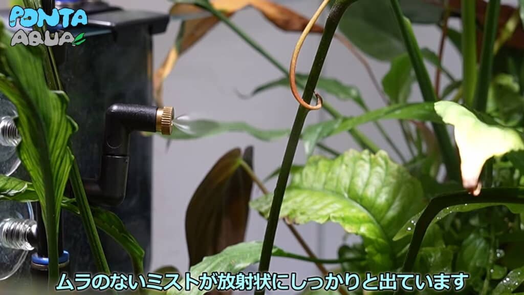 ノズルから噴射されるミスト