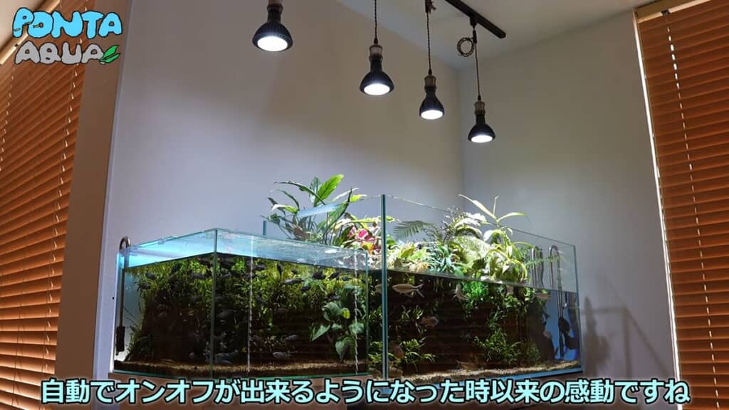 霧吹き自動化の良さを感じ取っている投稿者