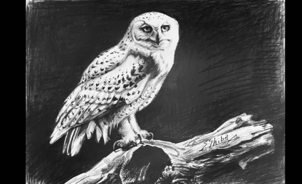 止まり木に佇むフクロウの鉛筆デッサン画