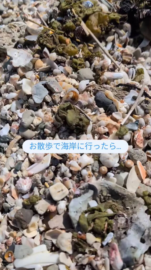 海岸を歩いていると