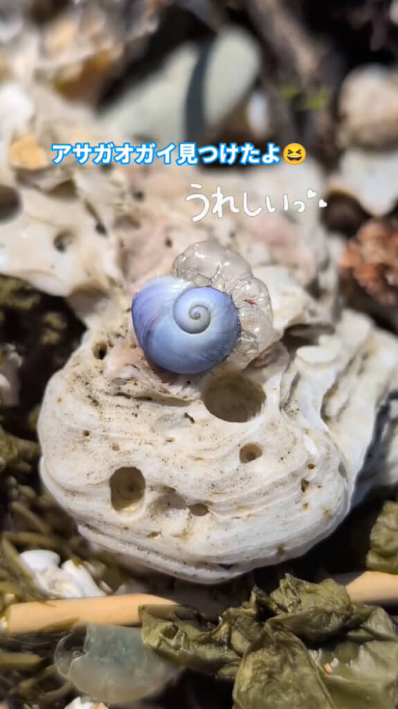 泡を浮き輪にしている