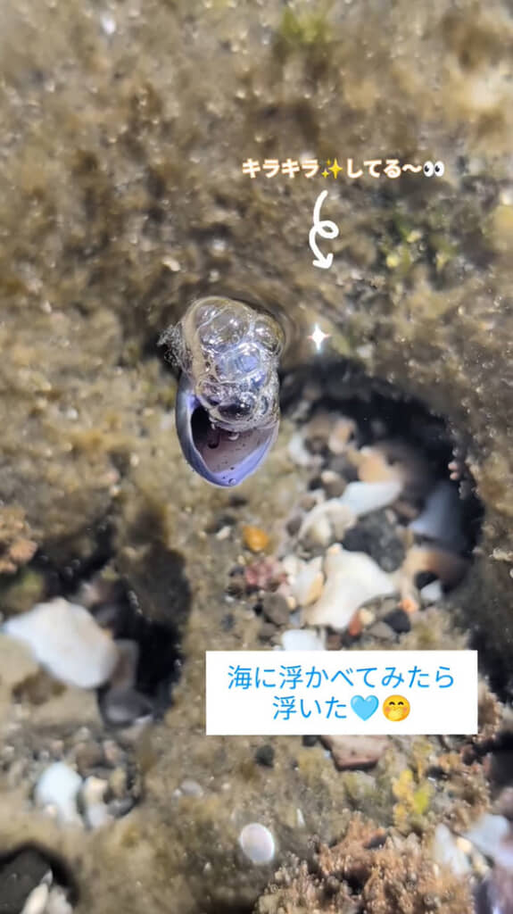 プカプカ浮かぶ