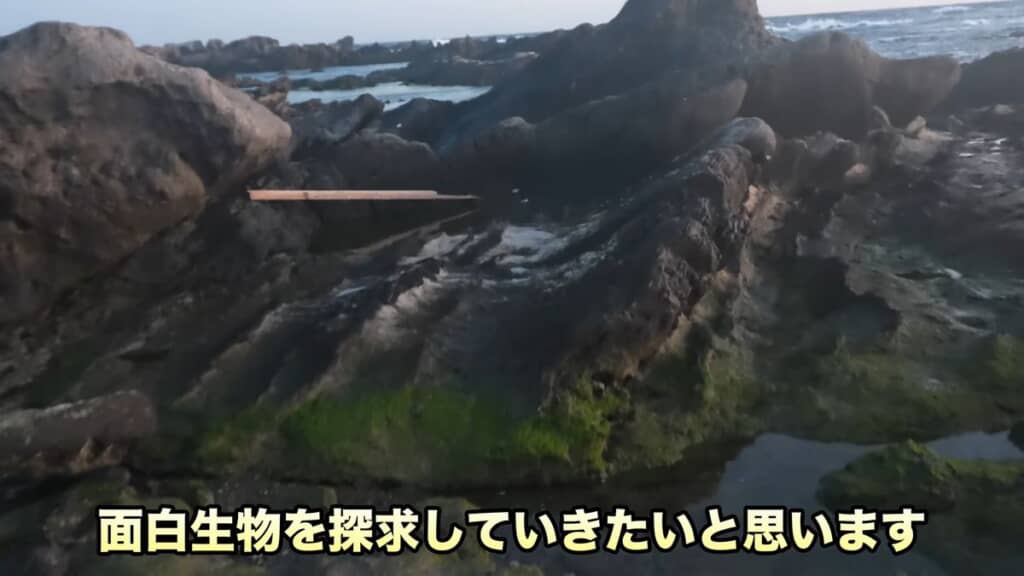 夕方の関東地方にある磯