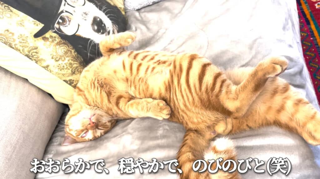 コハク8号くんは一人っ子としてのびのび育ちました