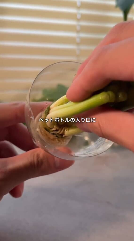 ペットボトルの口にセットする