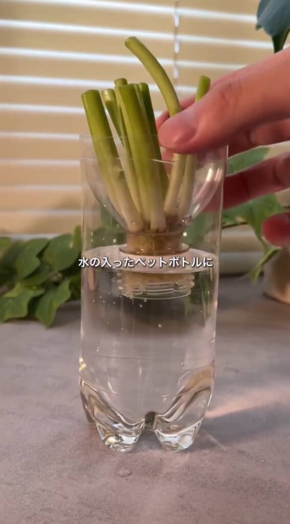 水の入ったペットボトルにセットする
