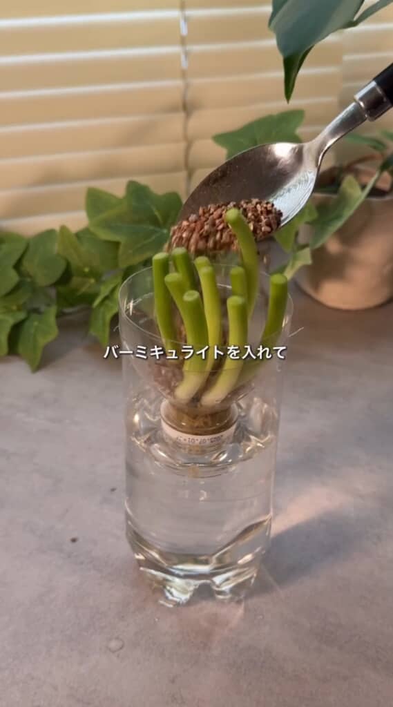 バーミキュライトを入れる