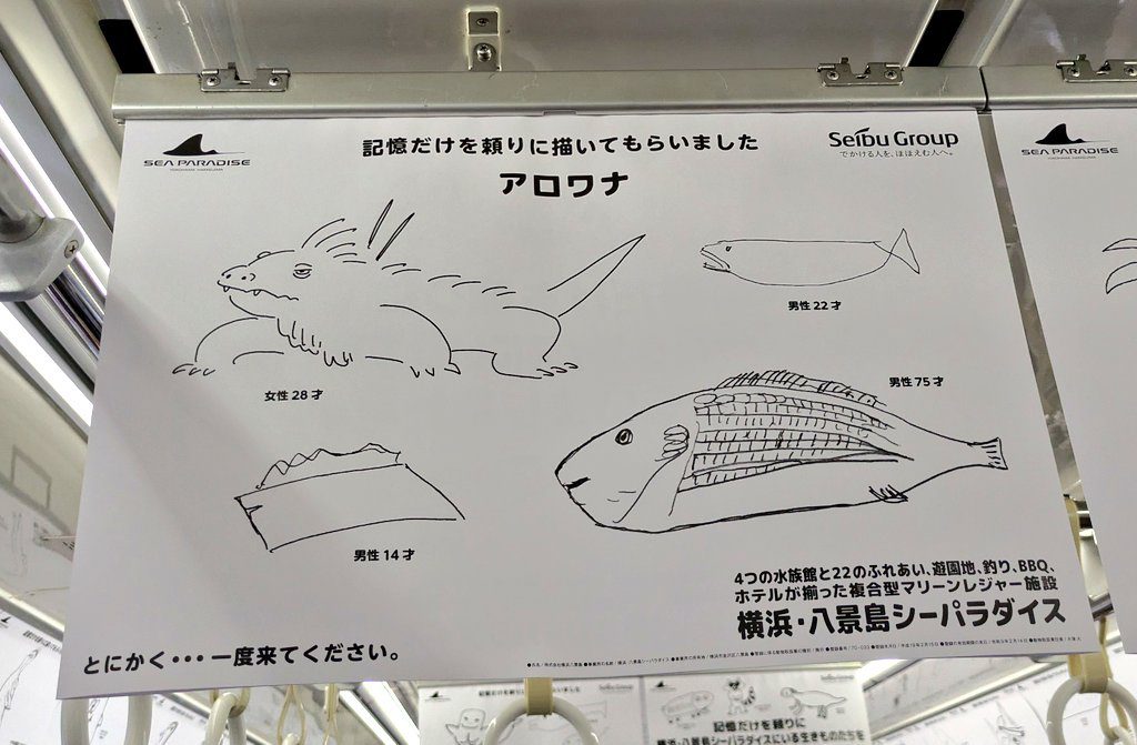 記憶だけを頼りに描いてもらったアロワナ