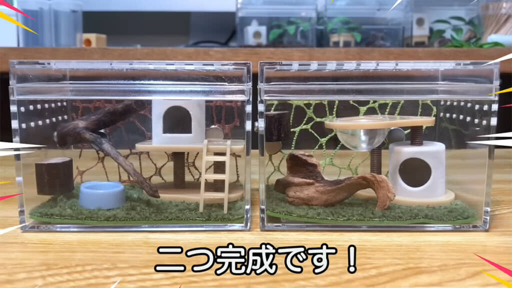 2匹の新居が完成しました！