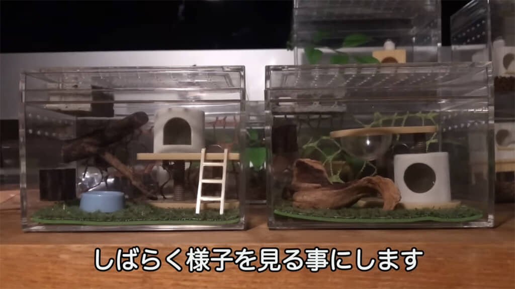 コンクリートブロックを増設しました