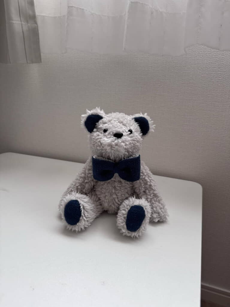 服の要素をふんだんに取り入れた愛らしいテディベアへに