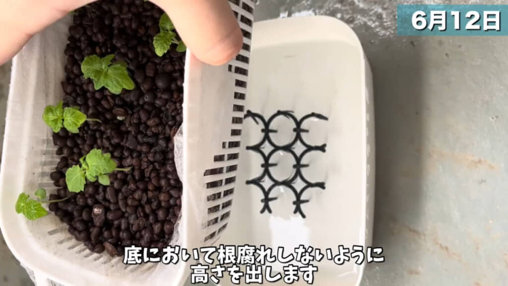 100均の猫よけグッズで底上げしました