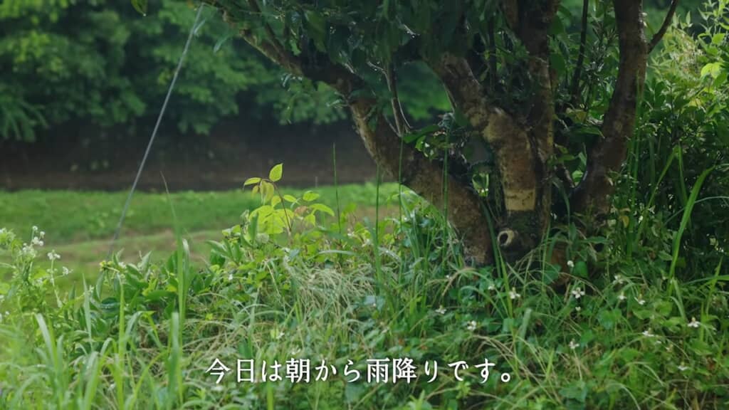 この日は朝から雨