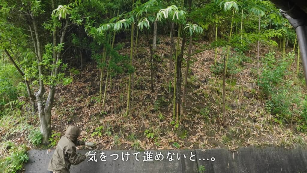 夫は家の裏手の竹林の整備をすることに