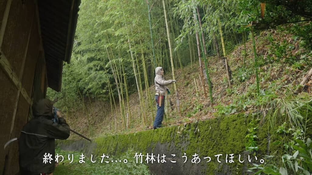 かなりすっきりしました