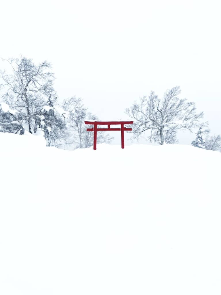 絶対に近づきたくない……！
