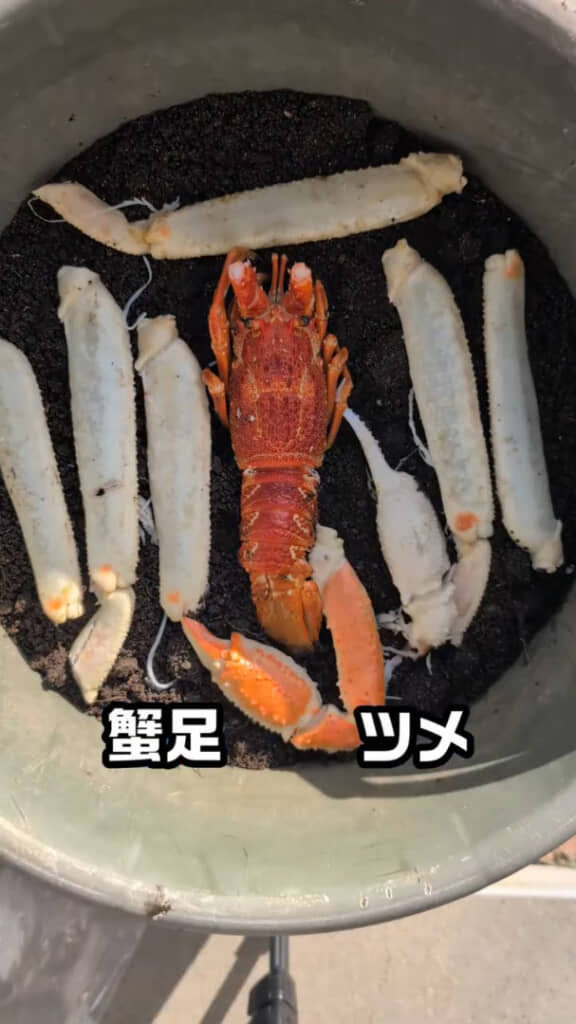 ここからどう変化するのか