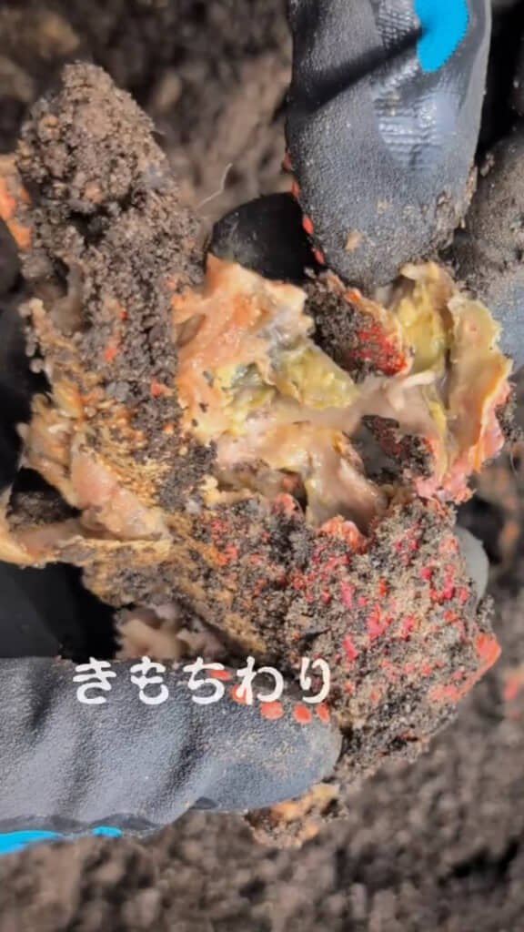 殻の中もグチャグチャでびっくり