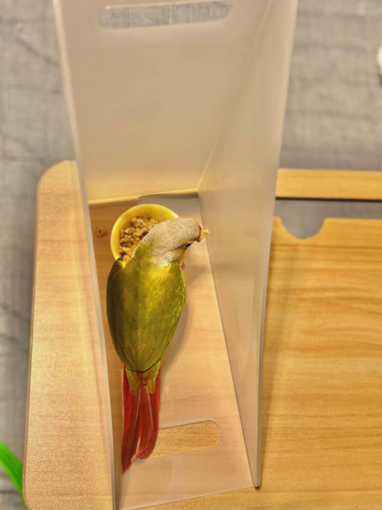 どこかで見たことあるスタイル