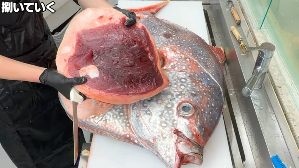 巨大アカマンボウをさばくきまぐれクック