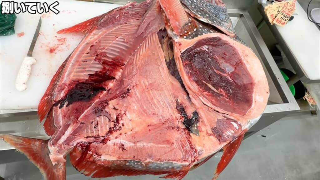 巨大アカマンボウをさばくきまぐれクック
