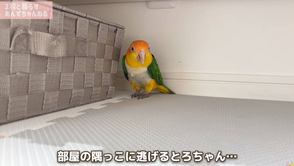 怖くて動けなくなってしまいました
