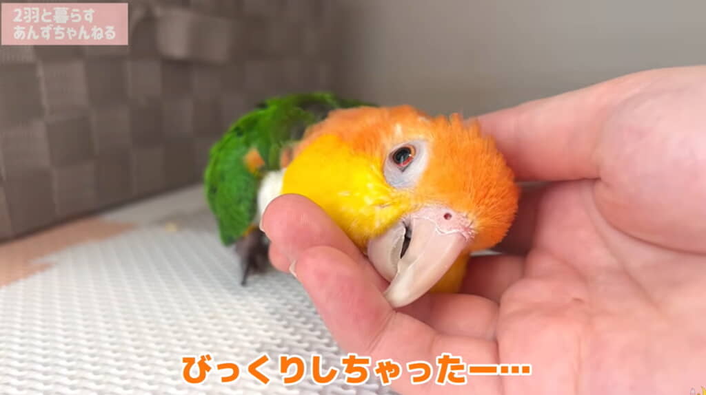 びっくりしたね……