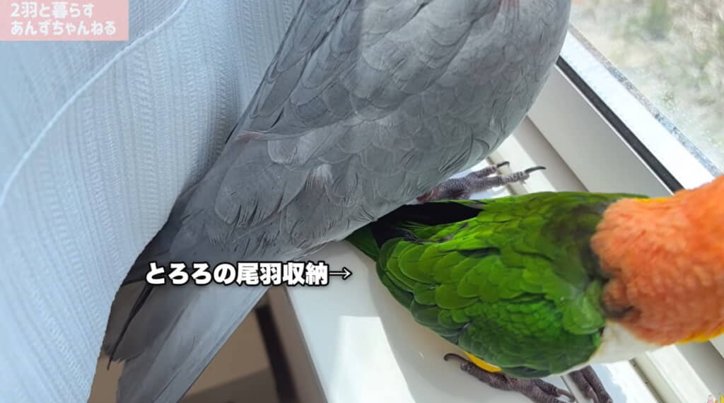 寄り添いながらルーティーンを再開