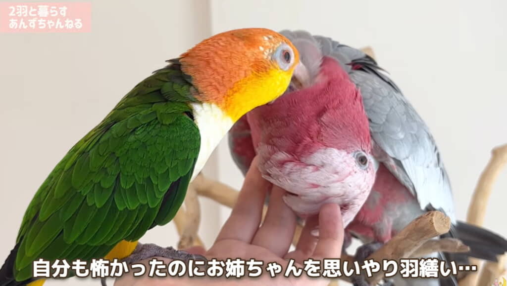 優しい……!!!!