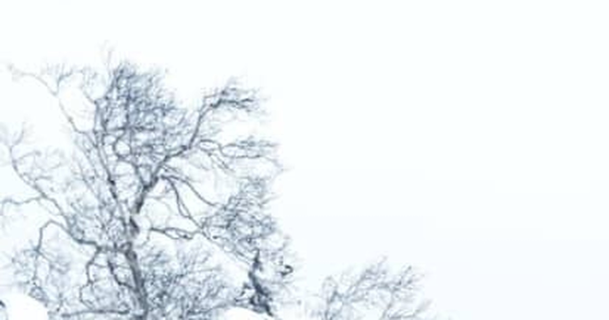 北海道の雪原にポツンと立つ鳥居→写真を撮ったら……「めっちゃそそられる」　92万表示の“思わずゾクッとする光景”に「なんて美しさ」「神々しい…」（1/2） | 写真 ねとらぼ