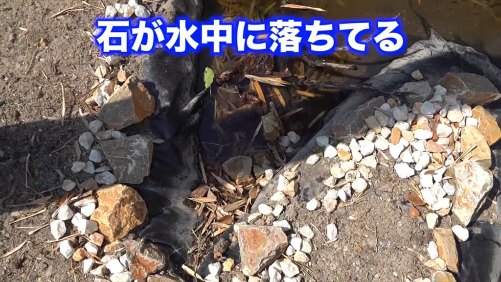 庭に穴を掘って作ったビオトープに起きた異変