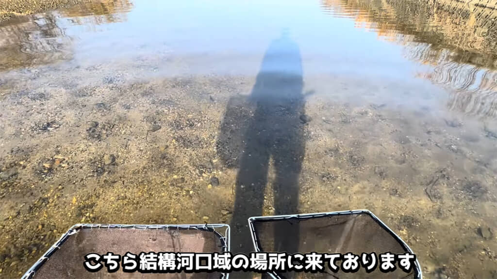 初めてやってきた河川でガサガサをしていきます