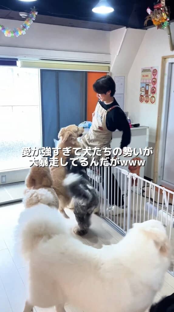 早く早く！