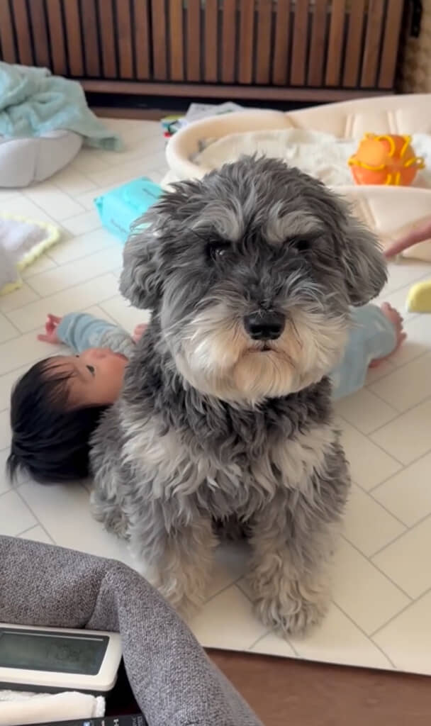 さりげなく寝返り成功してる!?