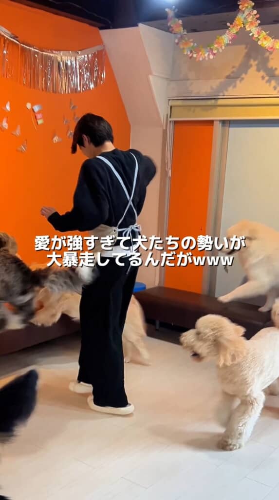 嬉しいのが伝わってくる勢い