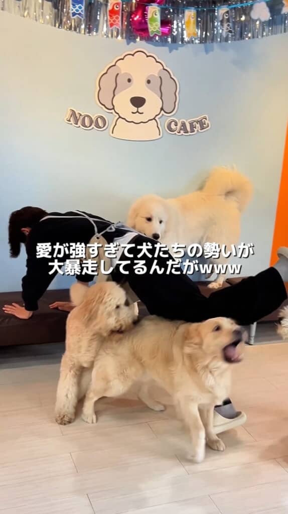 「僕の友達に何するんだよ！」と言わんばかりのルビーくん