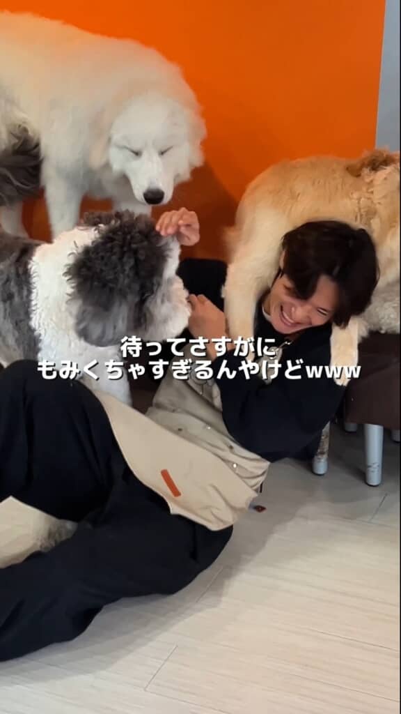 ルビーちゃんはバイト君の両肩に手をかけています